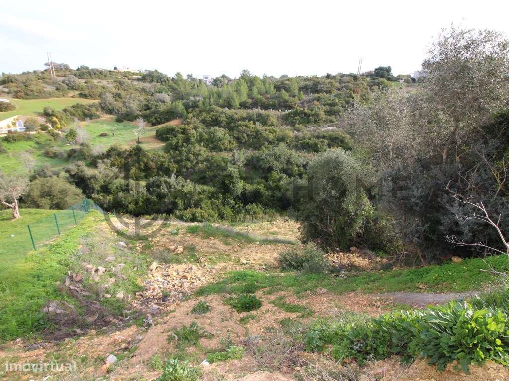 Lote para construção em Carvoeiro-6