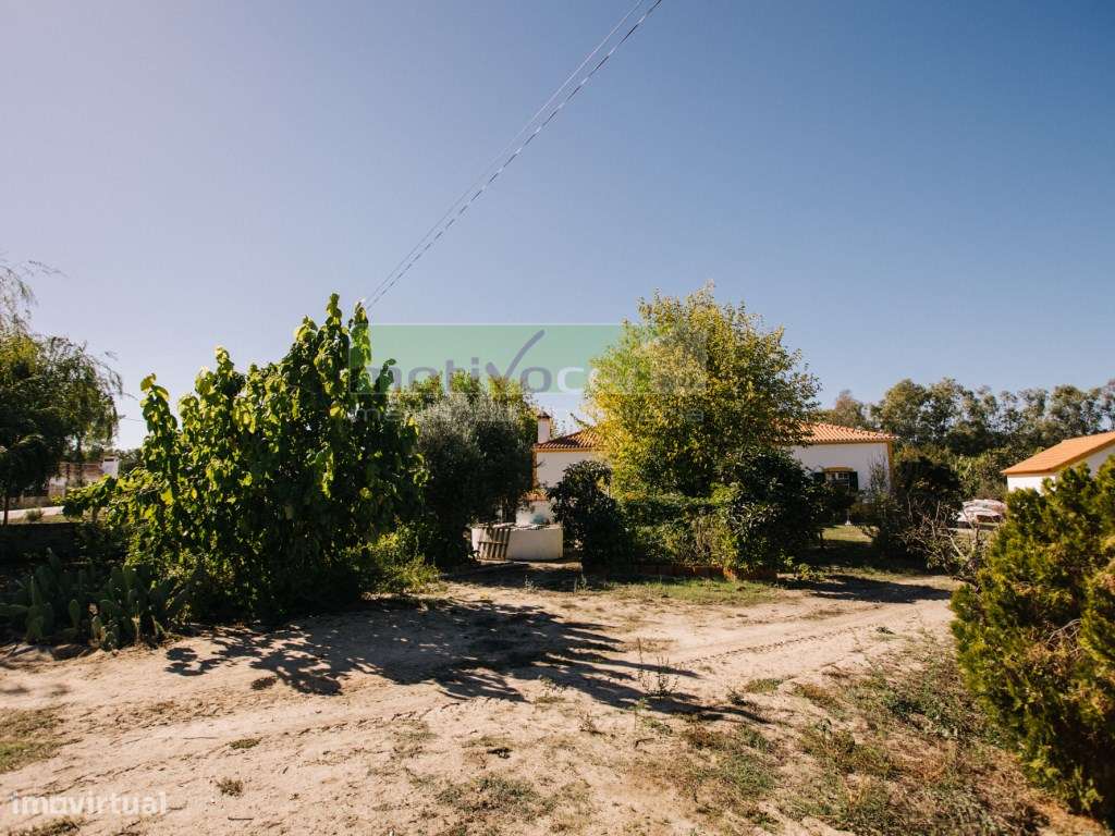 Moradia Térrea T4 em Quinta de 11.250 m² com Árvores de Fruto. Em S...-36