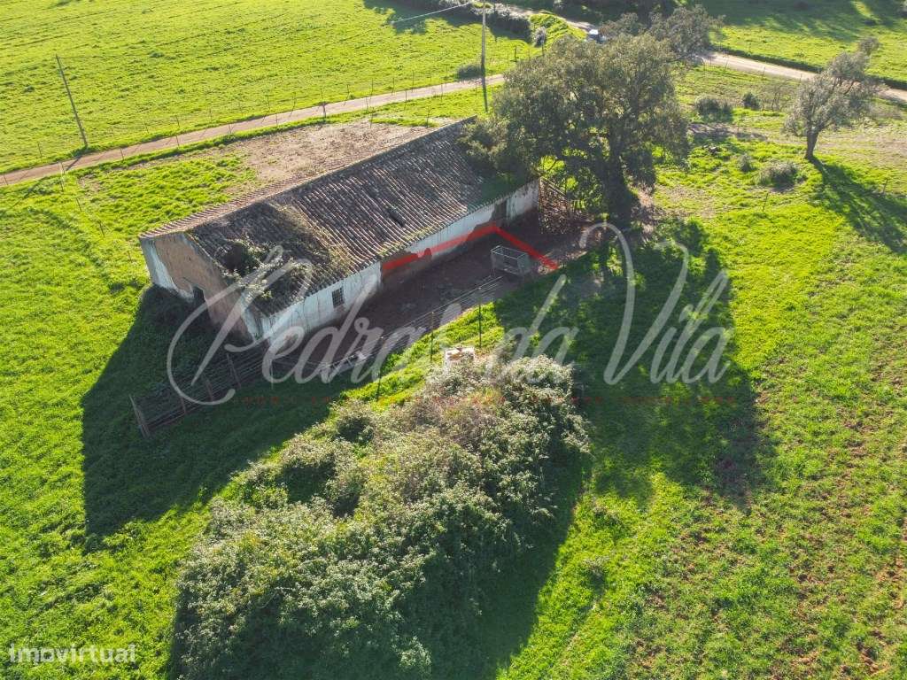 Monte Alentejano de 36ha com 3 ruinas - Pego das Pias - Odemira-12