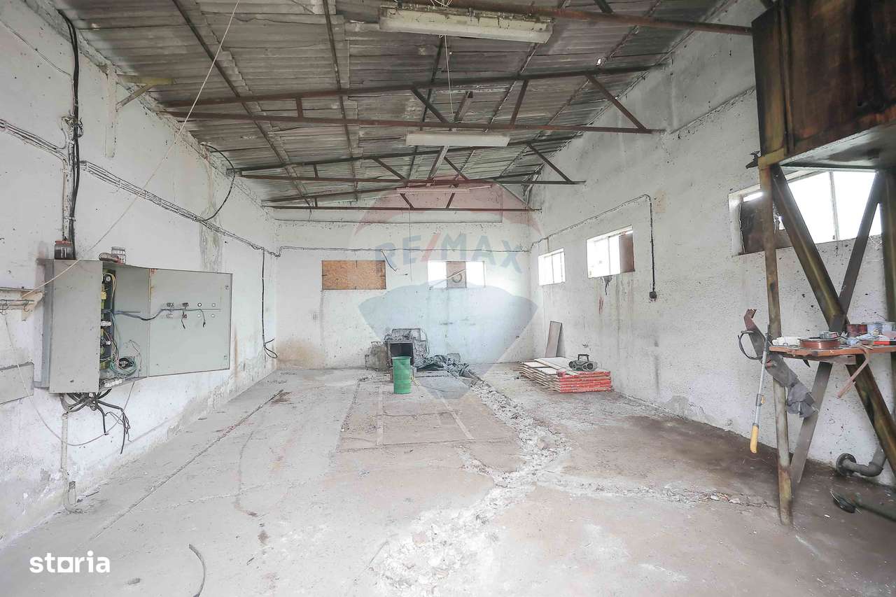 Teren 5674mp și construcții de vânzare, Tilecuș - Imagine principală: 4/16