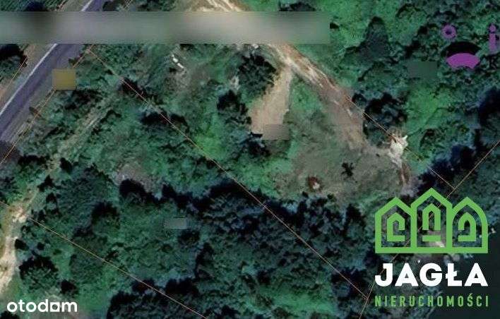 Zbójno 3209m2 linia brzegowa czyste jezioro Wz - Pełny obrazek: 3/6