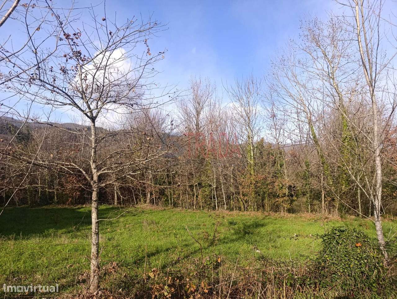 Terreno para construção 1.600 m2 em Balança - Terras de Bouro-7