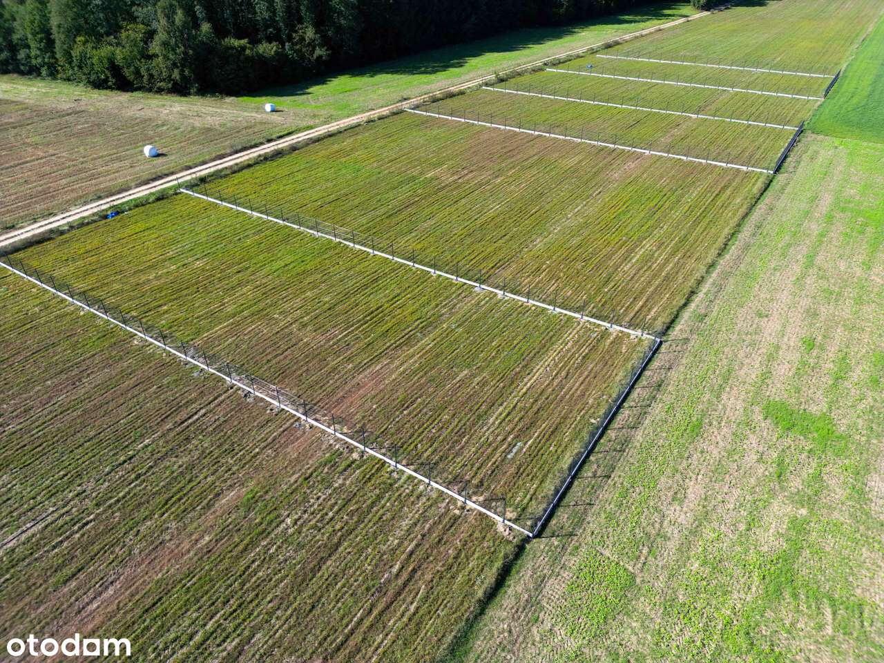 Bardzo ładne działki budowlane niedaleko Wyszkowa-7