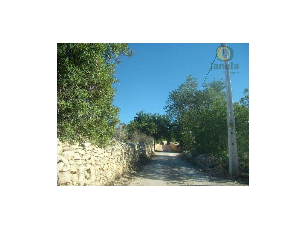 Terreno com projeto aprovado para construção de moradia térrea - Grande imagem: 4/9