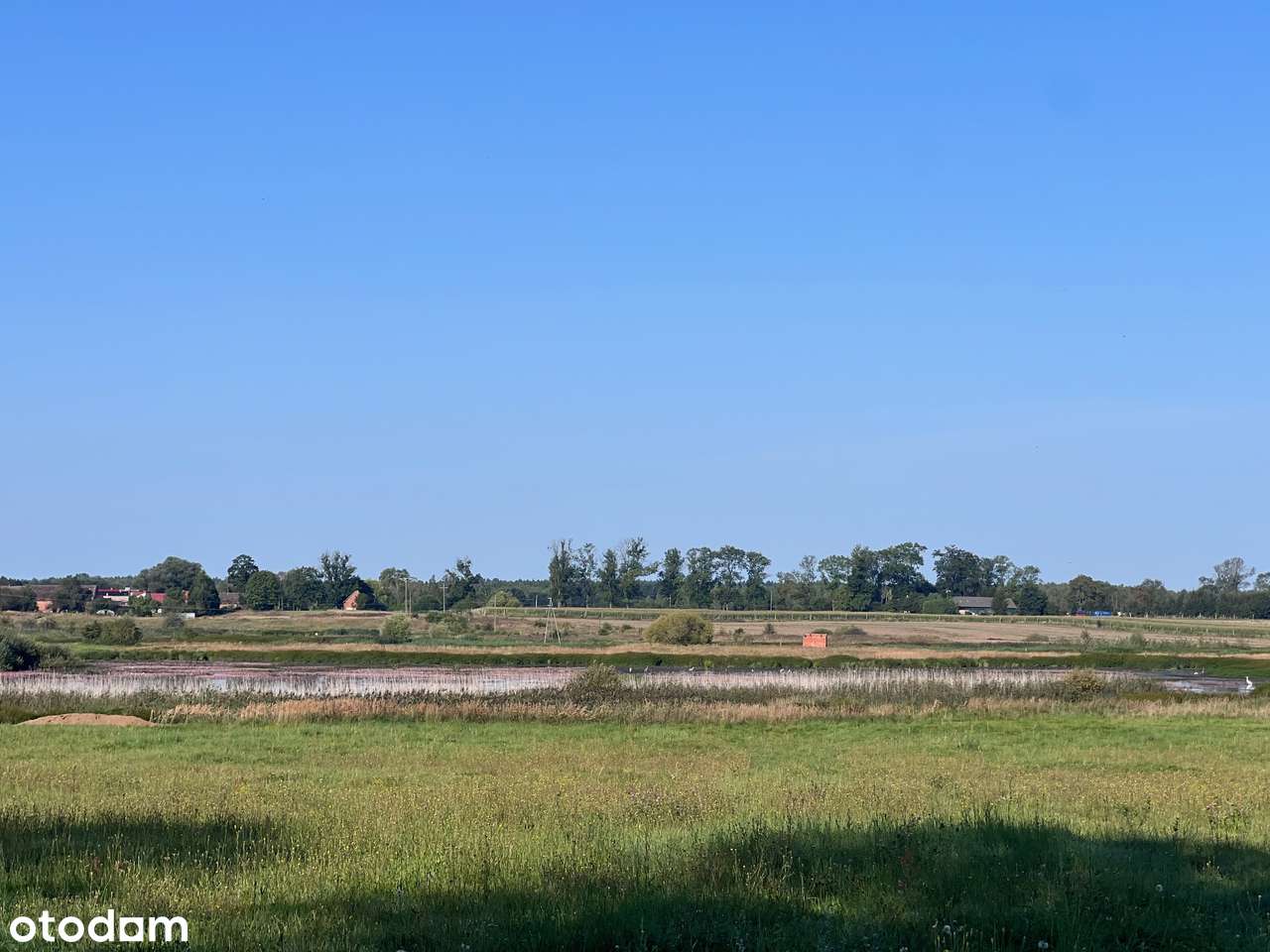 Syndyk sprzeda działkę rolną w miejscowości Barnimie - Pełny obrazek: 5/8