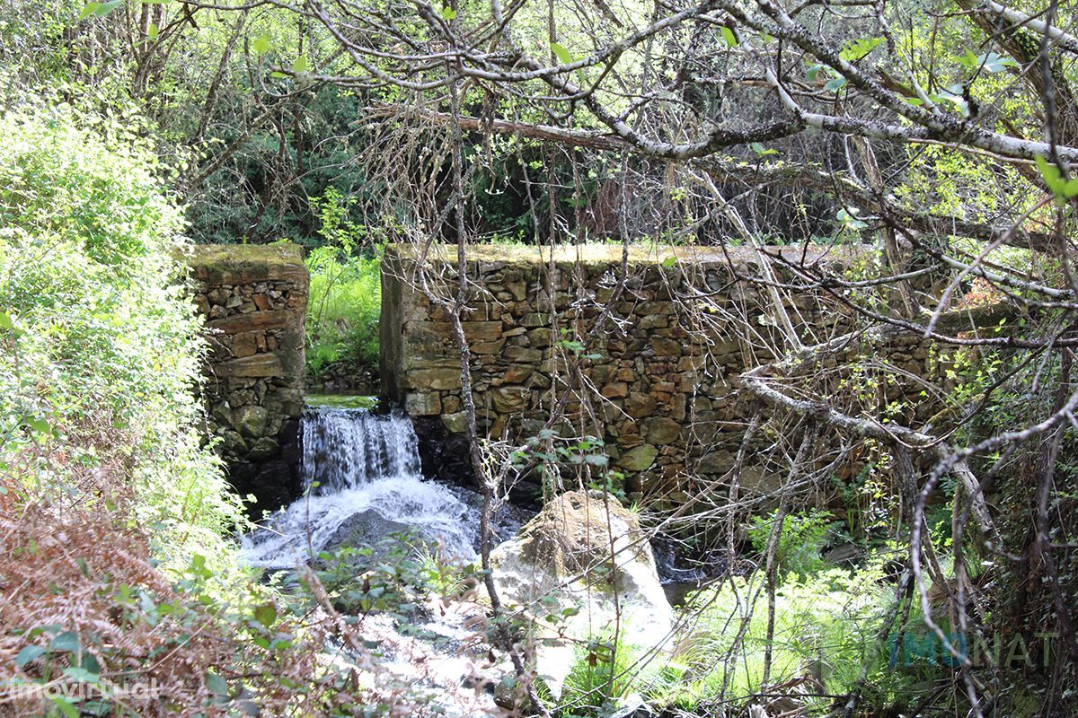 Terreno c/ ruínas