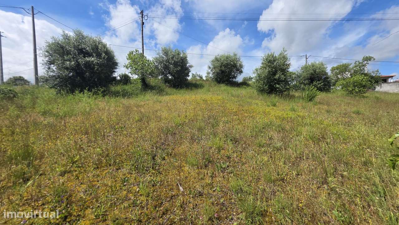 Excelente Terreno para Moradia a 5 kms de Tomar-25