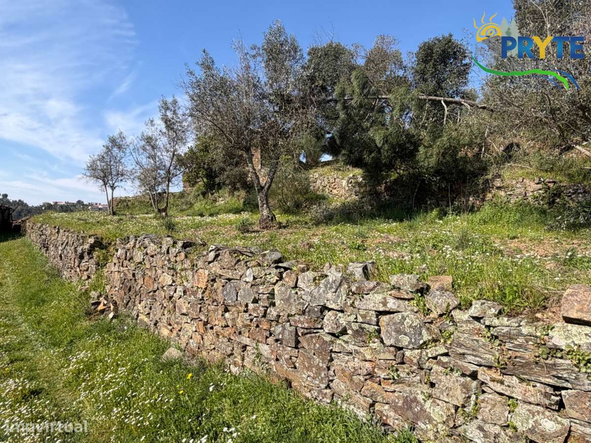 Ruína em pedra de xisto com boas vistas sobre a Aldeia e a Ribeira-16