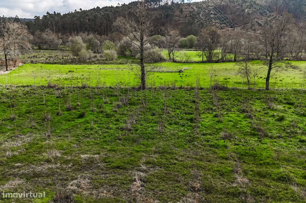 Terreno Rústico  Venda em Associação de freguesias do Vale do Neiva,Po-18