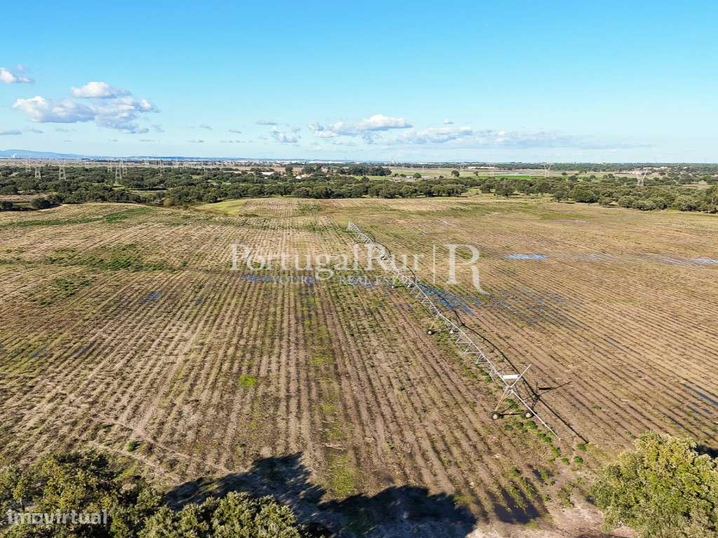 Herdade de 60 hectares para criação bovina e equina perto de Lisboa-7