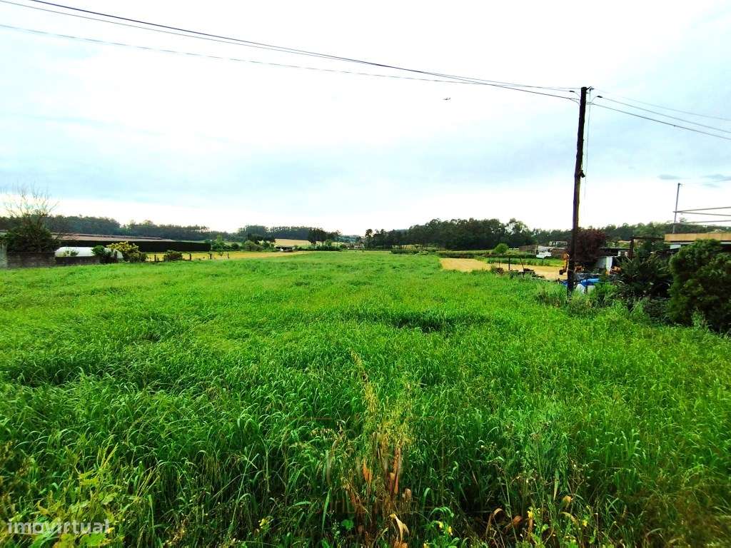 Terreno Rústico com 4400m2 para construção - Grande imagem: 5/16