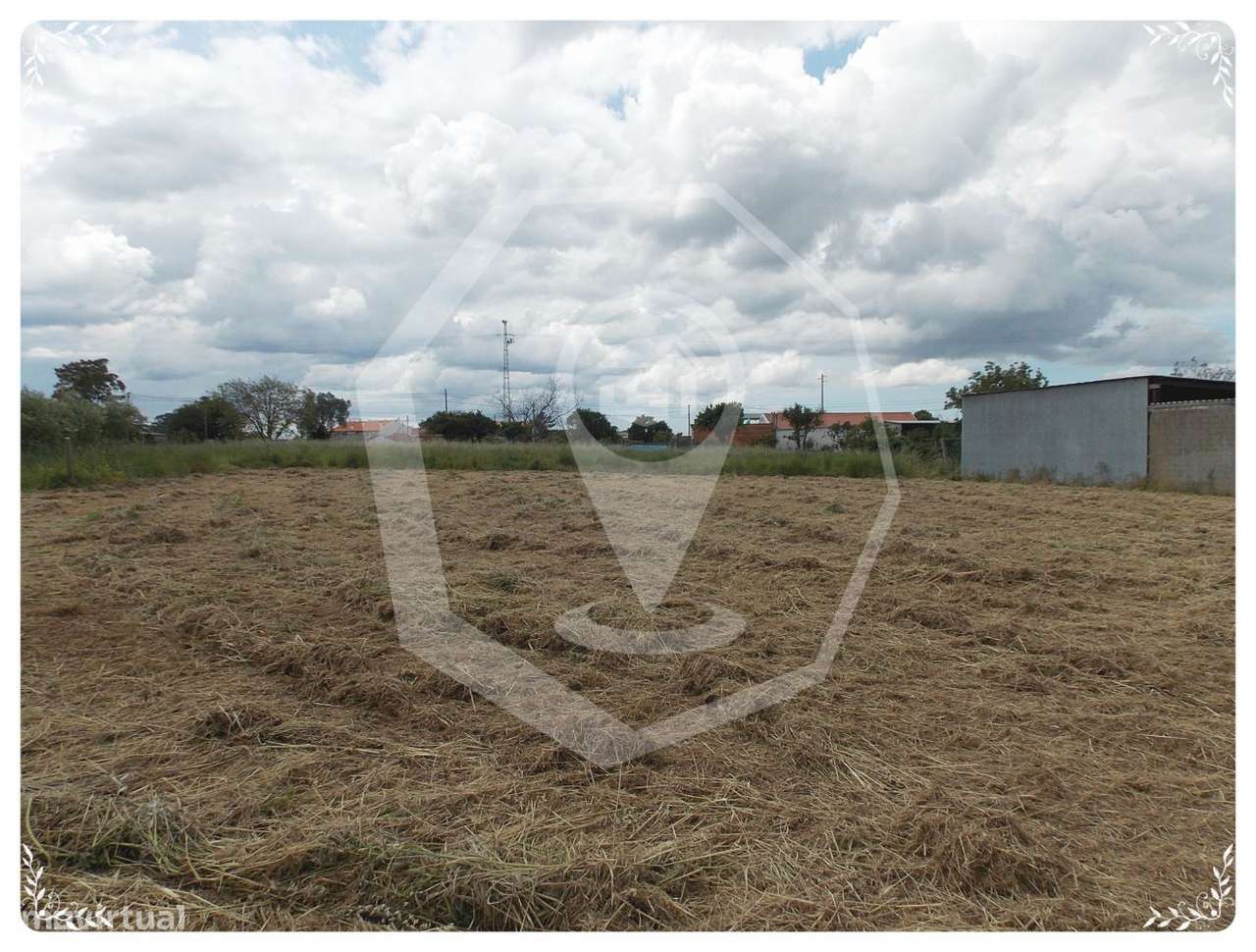 Terreno EN 235 - Grande imagem: 5/7