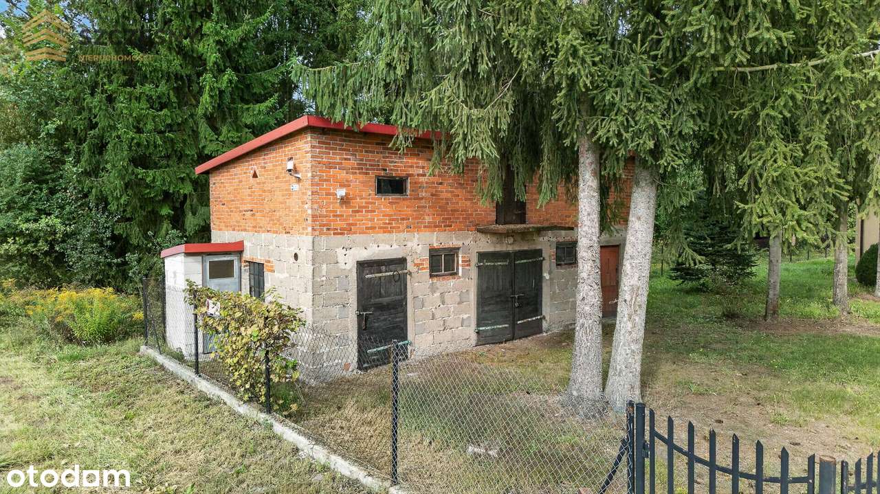 Siedlisko- dom mieszkalny, budynki gospodarcze,  MOGOWO obok NASIELSKA-17