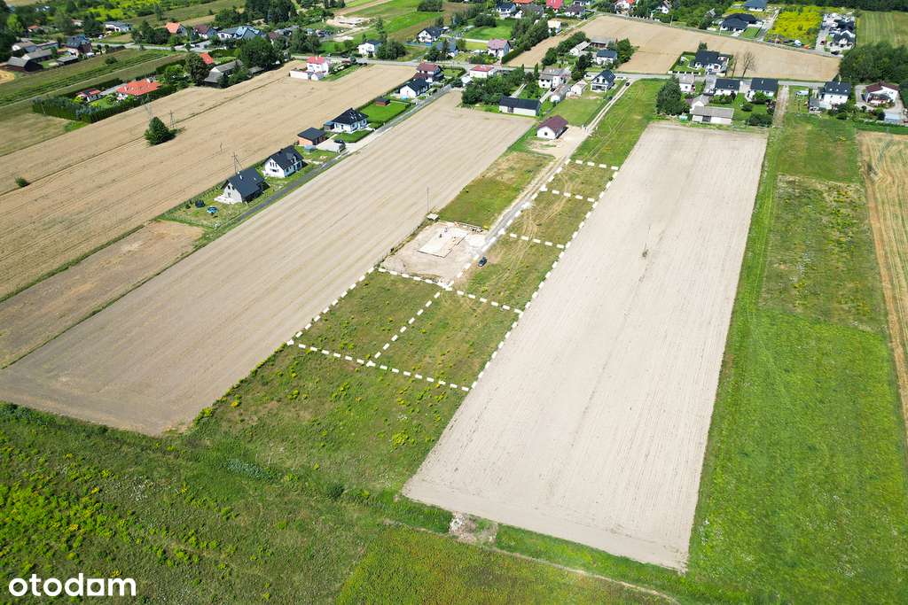 256/9020/OGS - Pełny obrazek: 4/12