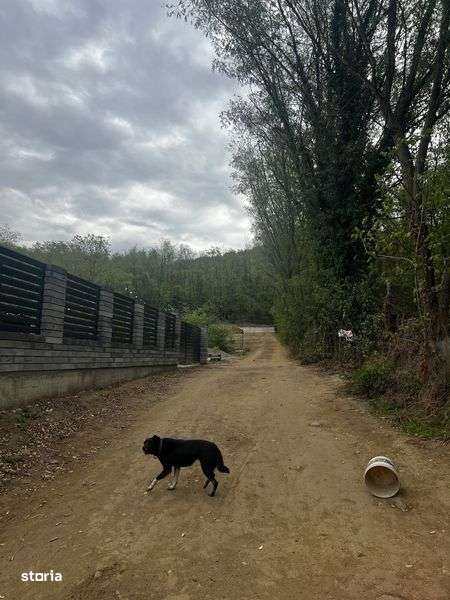 Parcela teren intravilan Vernesti-Sasenii Vechi - Imagine principală: 4/4