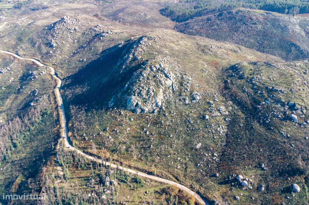 Terreno florestal com 4.2 hectares em Marco de Canaveses - Porto - Grande imagem: 2/7