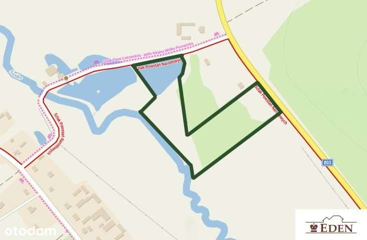 Działka, 29 617 m², Zgórznica-1