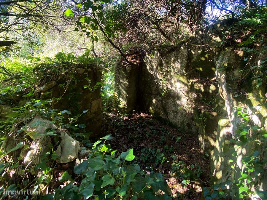 Pequena moradia T2, encantadora, autêntica, entre Óbidos e Bombarral-33