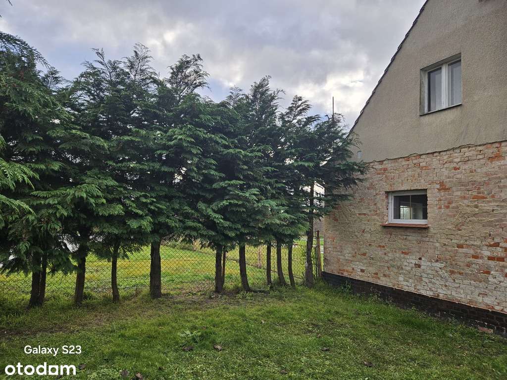 Sprzedaż parter bliźniaka Brzezina Sułowska Osada - Pełny obrazek: 4/20