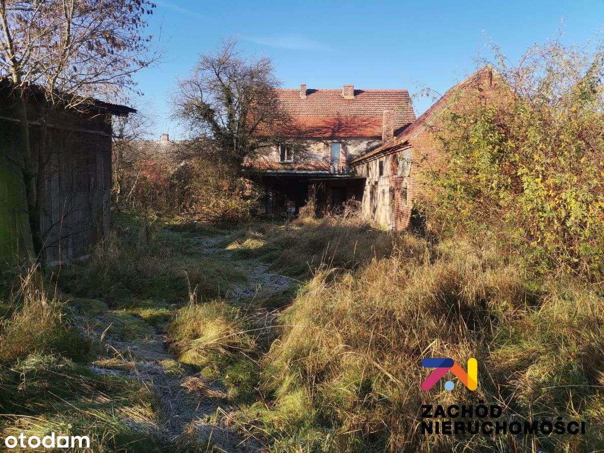 Działka zabudowana o pow. 6200 m2 w Dąbrowie - Pełny obrazek: 3/6