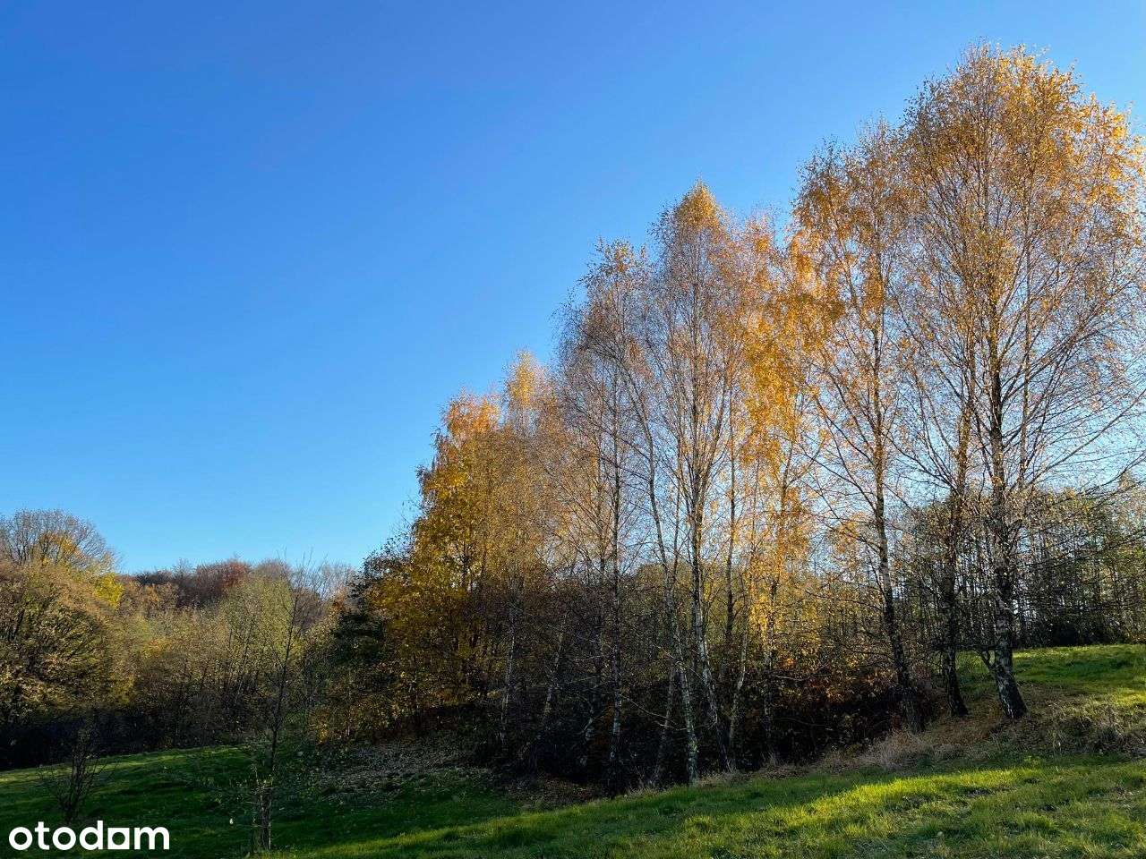 Działka o pow.1 ha - ul. Św.Marcina - Okazja! - Pełny obrazek: 5/13