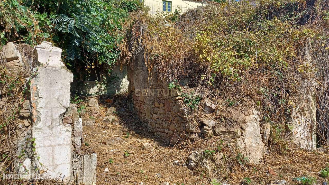 Vendo Quinta em Coimbra-17