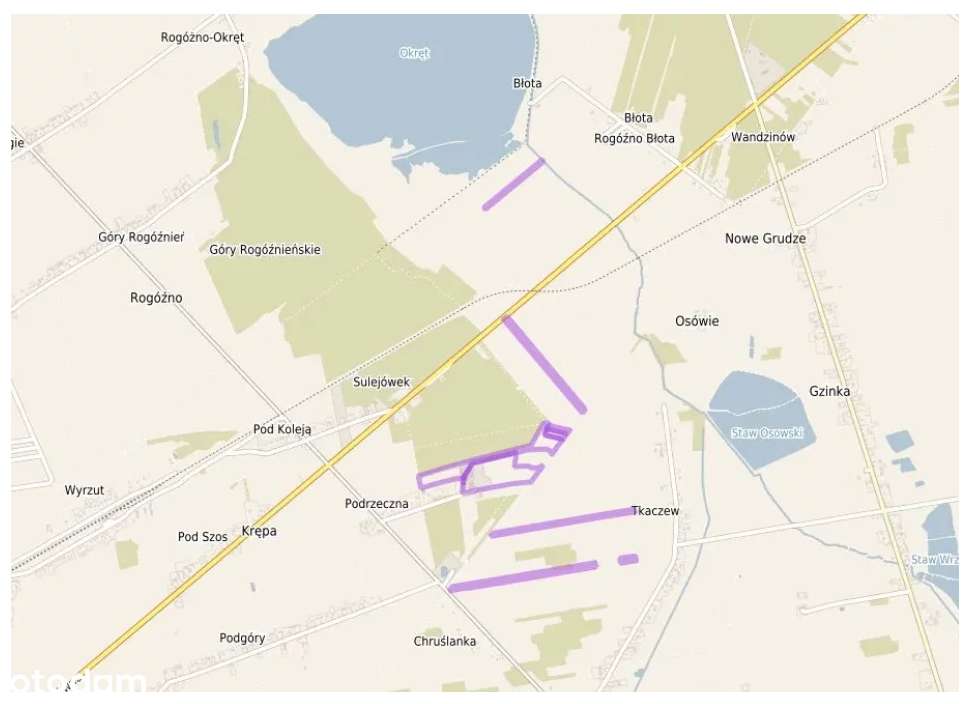 Duże gospodarstwo hodowli bydła PRZETARG-4