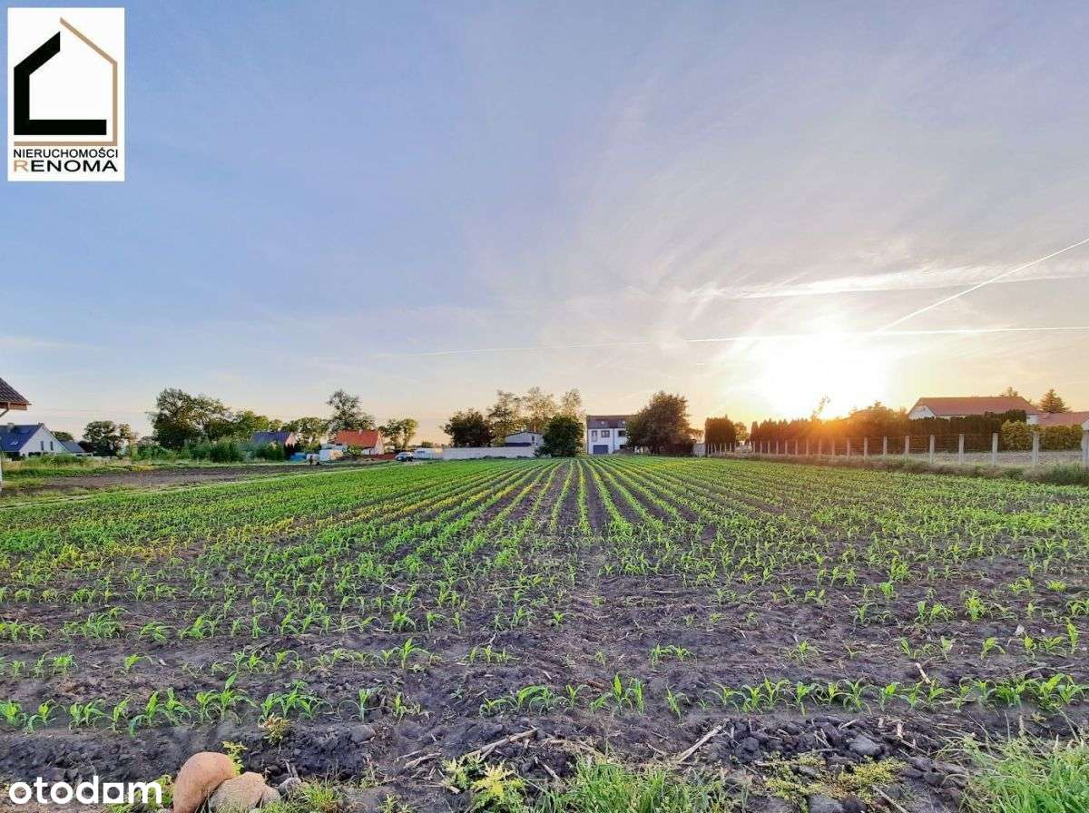 budowlana | Tarnowo Podgórne | z MPZP | z mediami | spokojna okolica - Pełny obrazek: 2/11