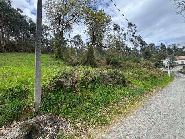 Excelente oportunidade de investimento em Vila Verde e Barbudo!-6