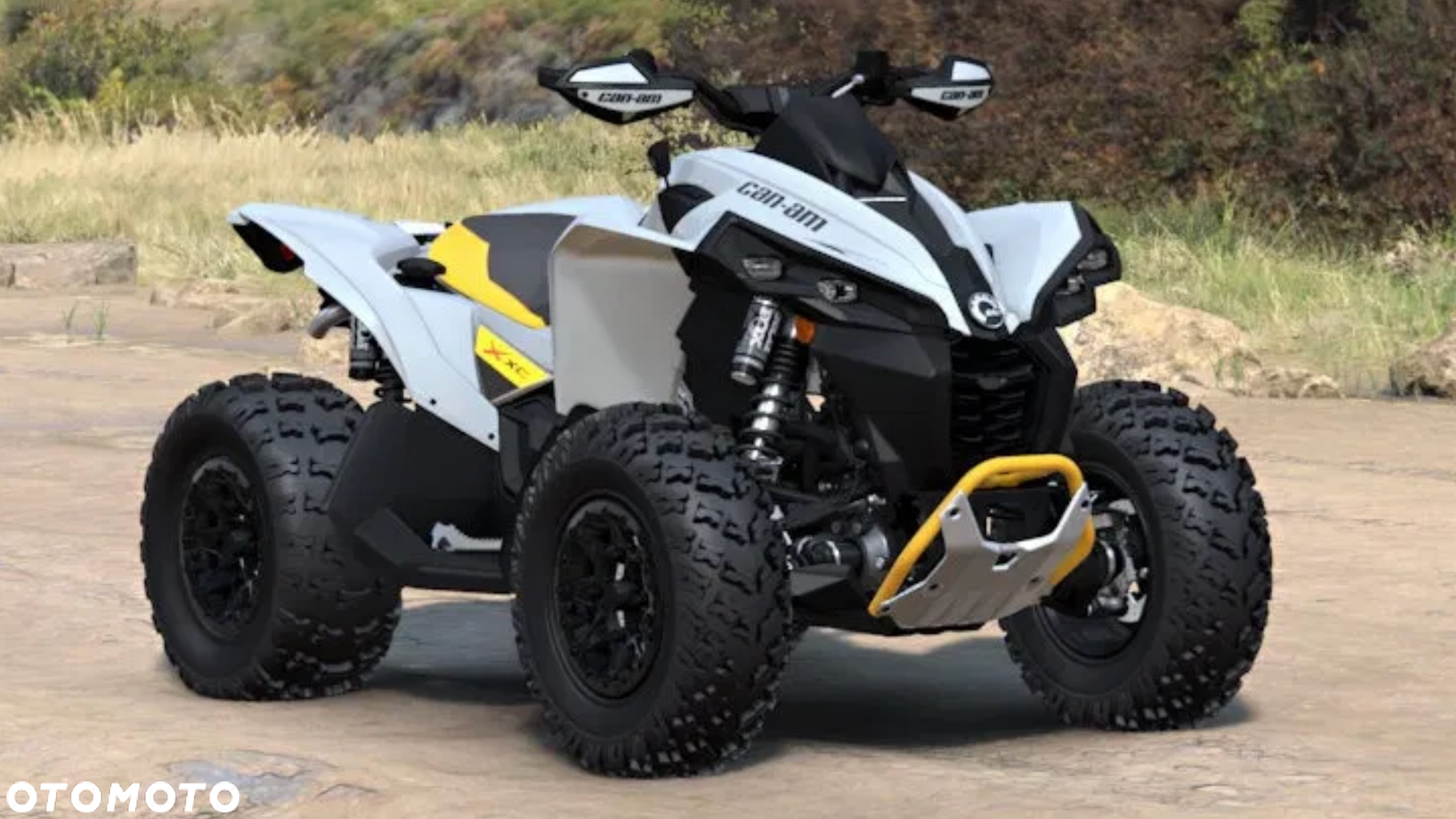 Can-Am Renegade - 3