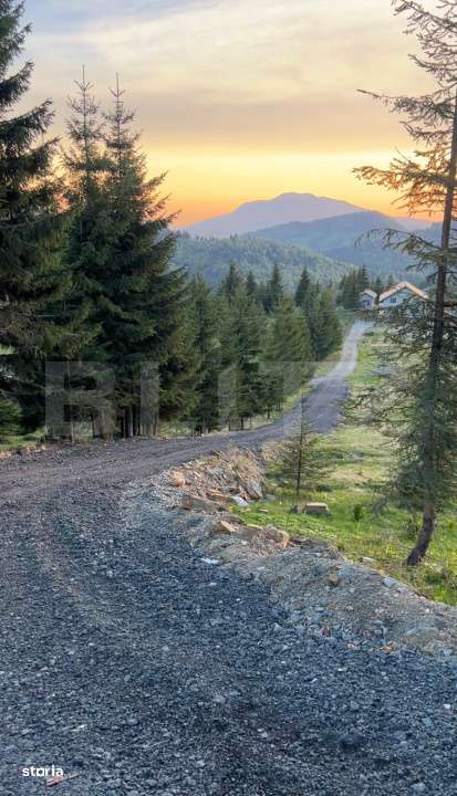 Teren extravilan cu priveliste - Tihuta Cota 1.201 - Imagine principală: 2/3