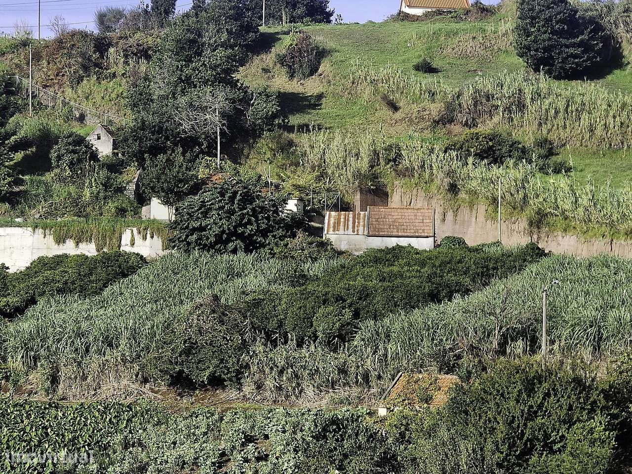 Terreno Urbanizável com Vista Mar e Montanha | Canhas | Ponta do Sol - Grande imagem: 3/17