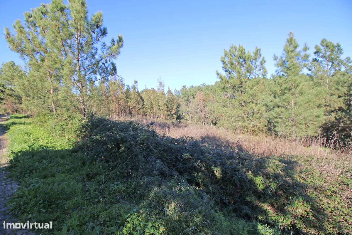 Lote de Terreno na Urbanização de Santa Luzia em Abrantes-10