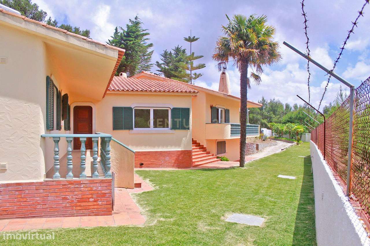 MORADIA TERREA T4+2 | PISCINA | TERRENO 2.000 m2 | CASCAIS  | JARDIM | - Grande imagem: 5/33