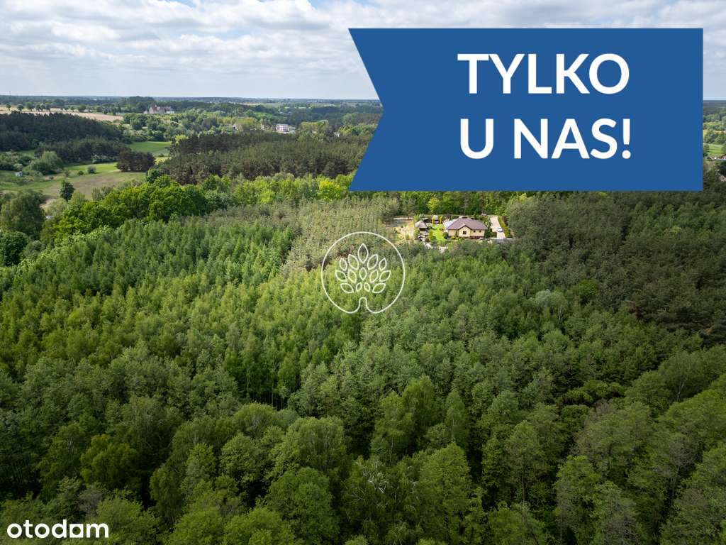 Dom w środku własnego Lasu. Cisza i spokój