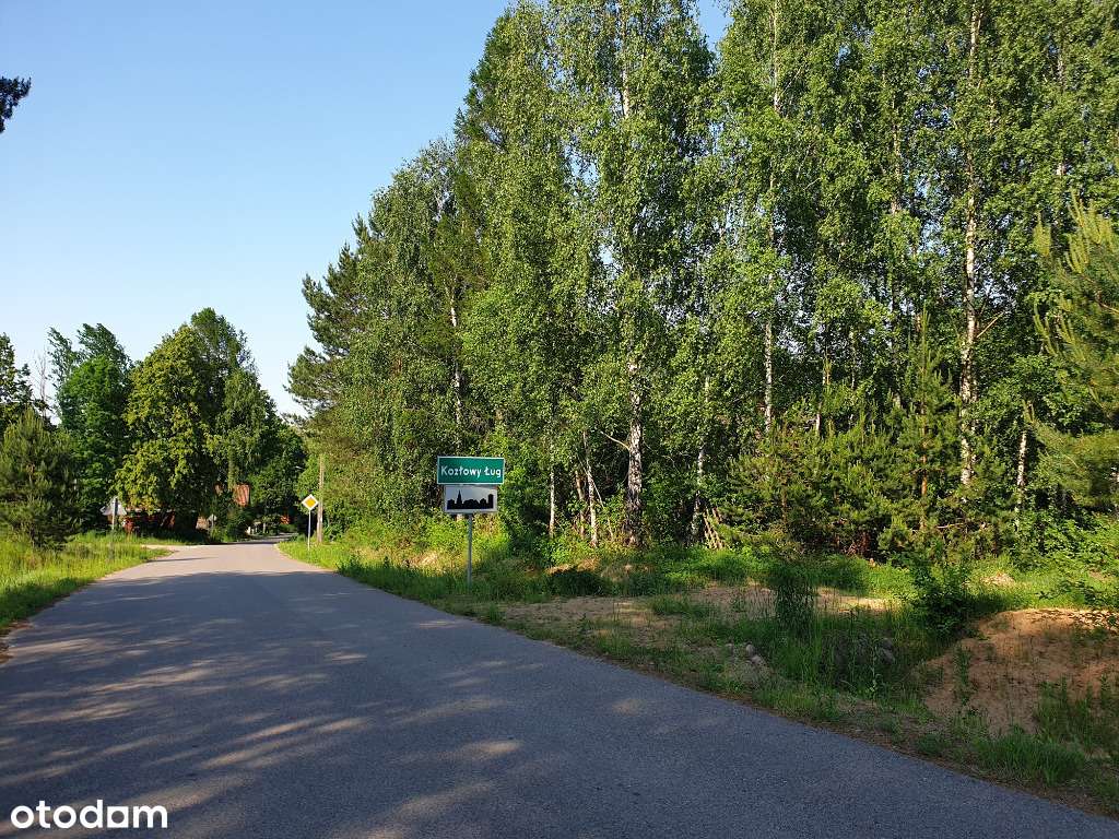 Działki w lesie z prawem zabudowy i uzbrojeniem 32km od Białegostoku - Pełny obrazek: 4/9