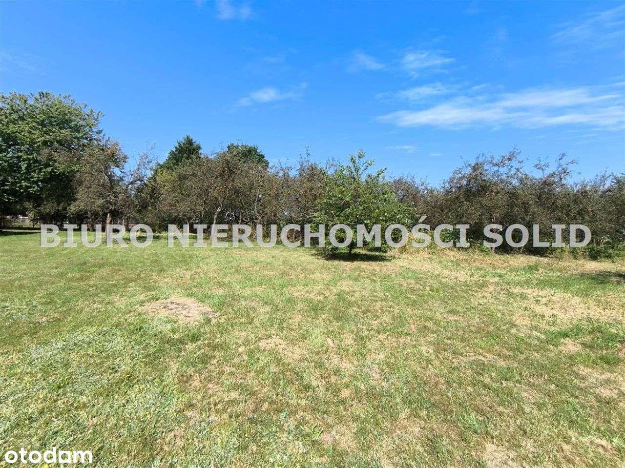 Ładna okolica Działka Woszczyce 133 tys - Pełny obrazek: 5/6