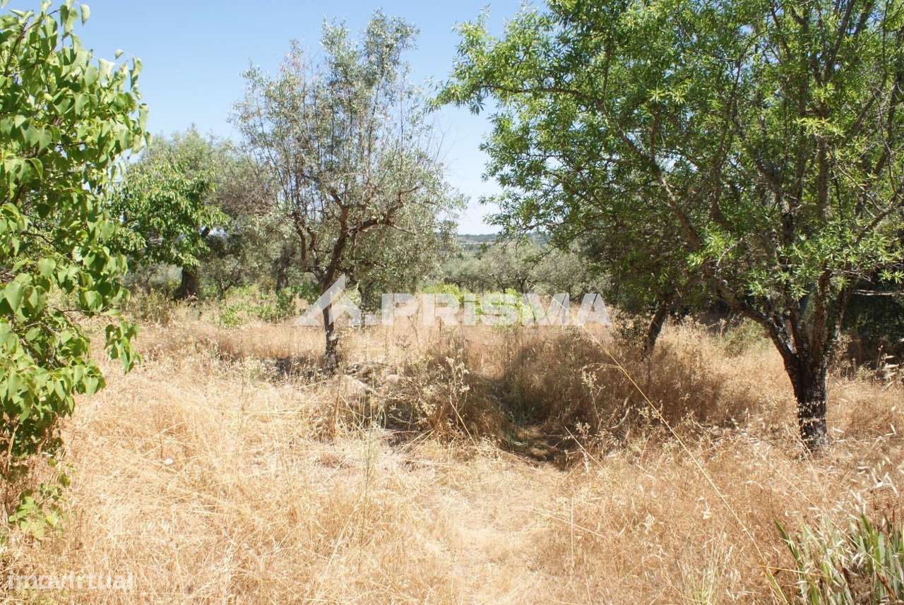 Terreno Rústico para Venda no Ninho do Açor - Grande imagem: 2/43