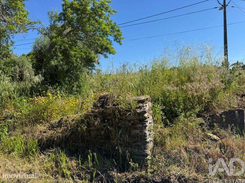 Terreno em Casais e Alviobeira de 2160,00 m2 - Grande imagem: 3/6