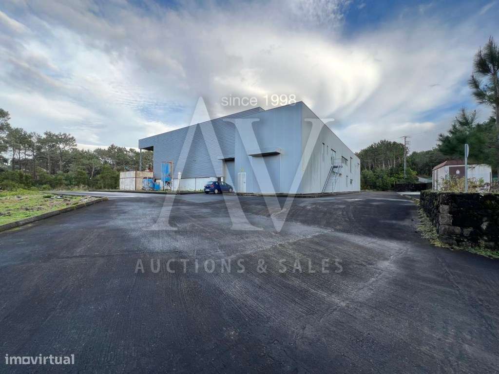 INDÚSTRIA DE PELLETS - ILHA DO PICO - AÇORES | LEILÃO PRESENCIAL - ... - Grande imagem: 5/5