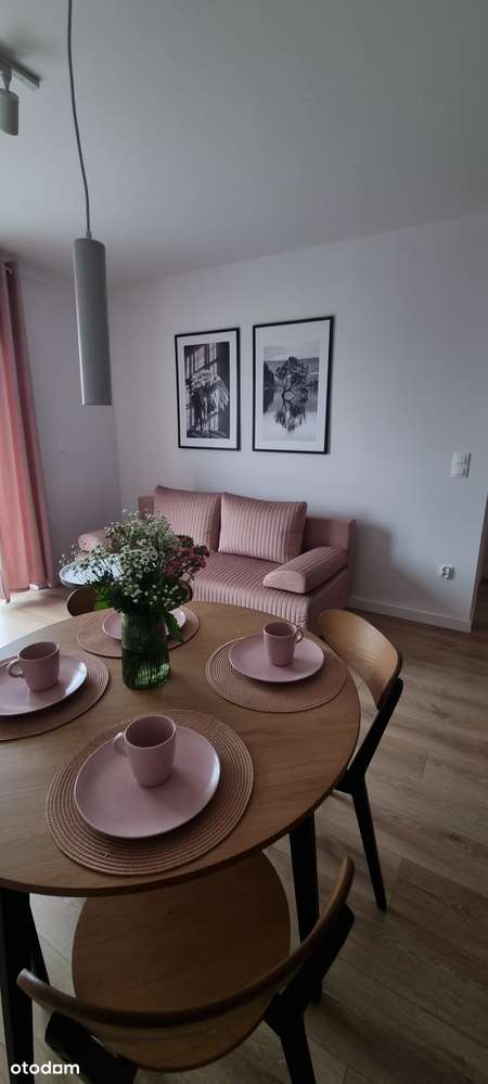 Wynajem 2 pokoje - FV VAT - Bolszewo -winda/balkon/hala garażowa - Pełny obrazek: 2/14