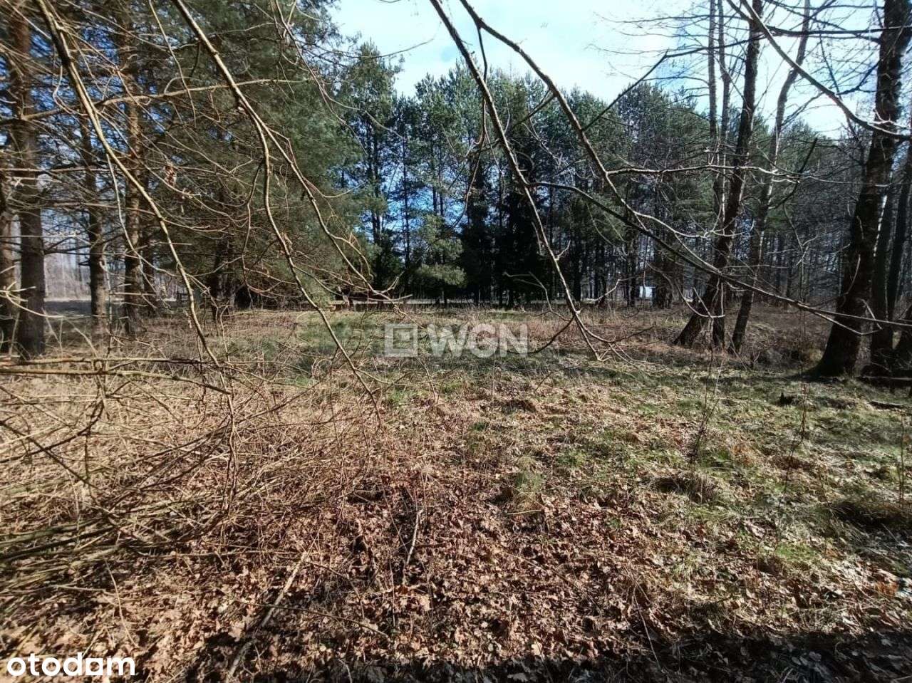 Działka, 2 501 m², Kałtki-6