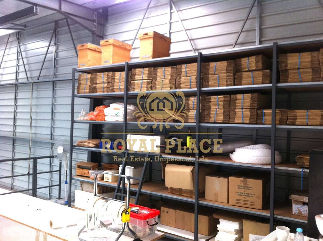 Quinta com armazém em Ossela, Oliveira de Azeméis-34