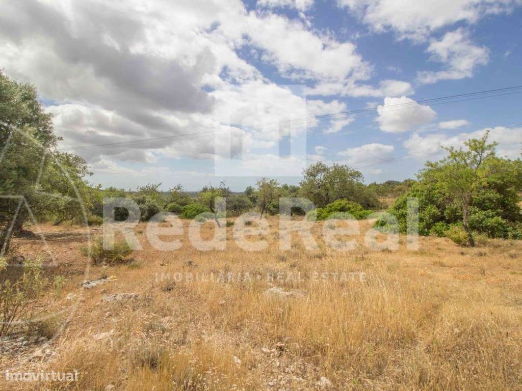 Terreno Rústico, Loulé, Boliqueime - Grande imagem: 3/4