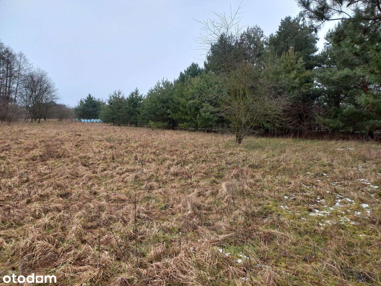 Działka budowlana okolice Szamocina Laskowa - Pełny obrazek: 4/5