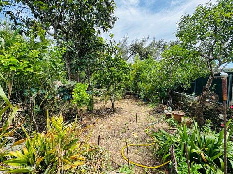 Moradia em Belas - Grande imagem: 5/12