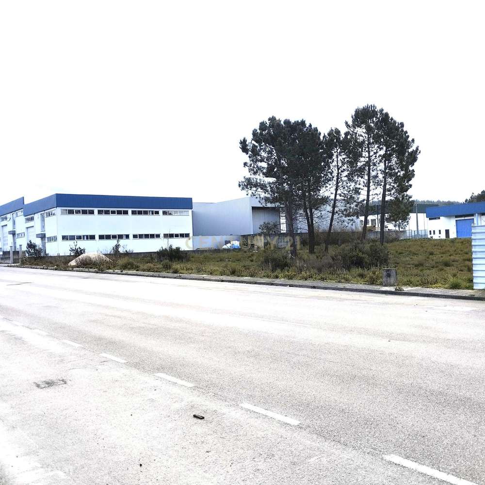 Lote Para Armazém - Grande imagem: 5/8