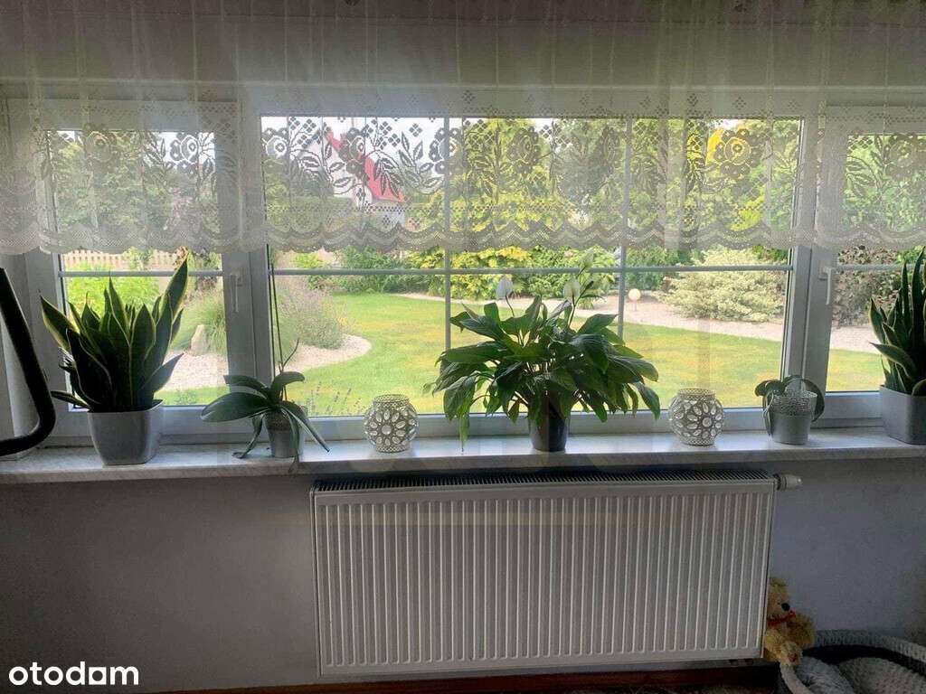 Komfortowy dom wolnostojący- mieszkalno - usługowy - Pełny obrazek: 5/20