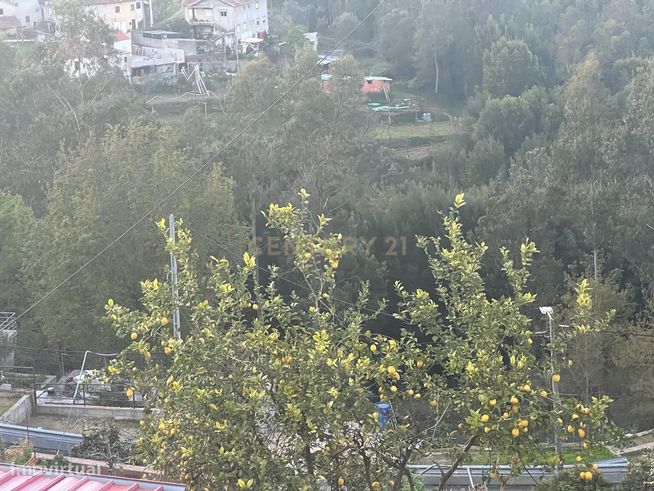 Terreno Rustico em Crestuma, Vila Nova de Gaia-6