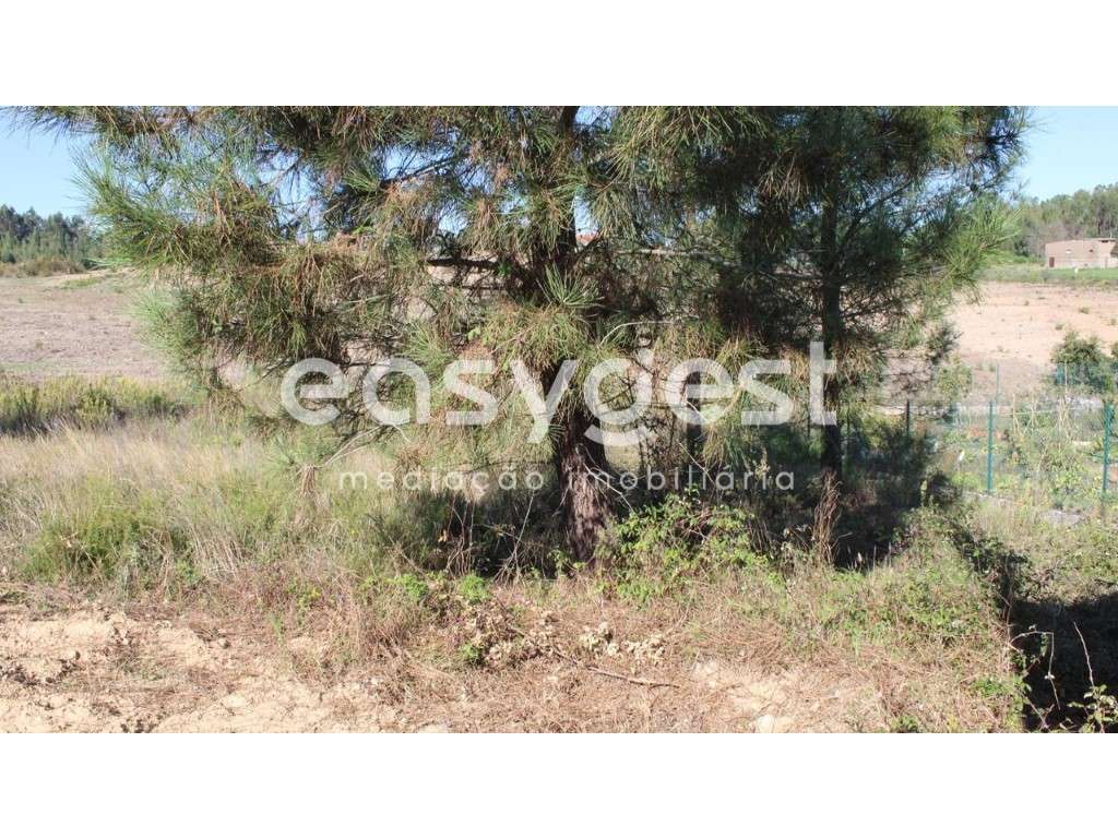 Terreno Urbano localizado a 5 km da Albufeira do Castelo de Bode - Grande imagem: 3/8